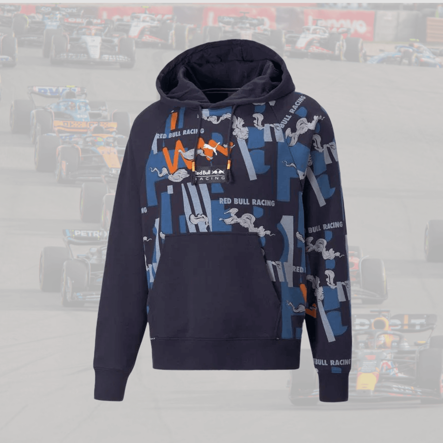 Red Bull Aop Motorsport Hoodie